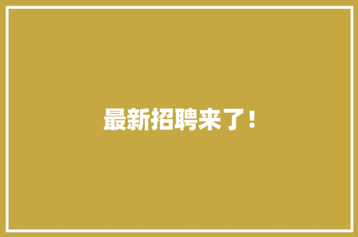 最新招聘来了！