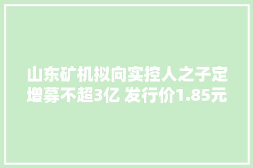 山东矿机拟向实控人之子定增募不超3亿 发行价1.85元 山东矿机拟向实控人之子定增募不超3亿 发行价1.85元 人工智能