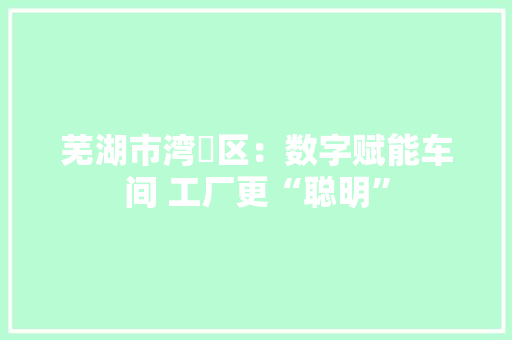 芜湖市湾沚区：数字赋能车间 工厂更“聪明”