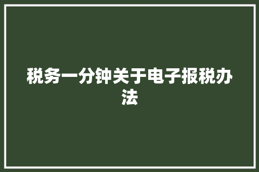 税务一分钟关于电子报税办法