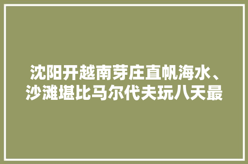 沈阳开越南芽庄直帆海水、沙滩堪比马尔代夫玩八天最低1980元