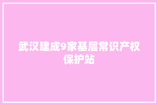 武汉建成9家基层常识产权保护站