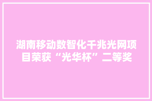 湖南移动数智化千兆光网项目荣获“光华杯”二等奖 湖南移动数智化千兆光网项目荣获“光华杯”二等奖 智能家居