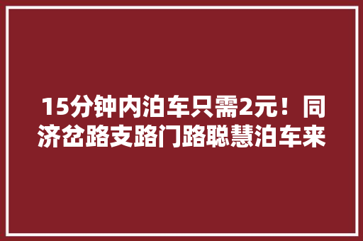 15分钟内泊车只需2元！同济岔路支路门路聪慧泊车来了