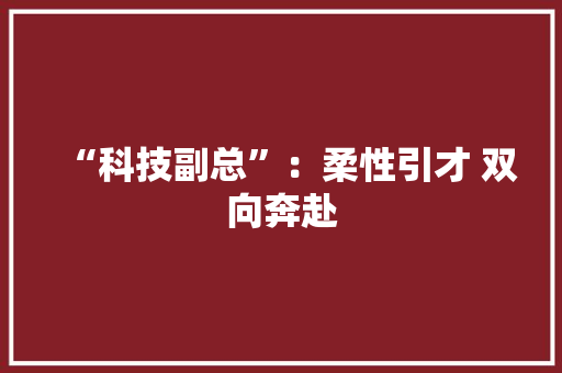 “科技副总”：柔性引才 双向奔赴