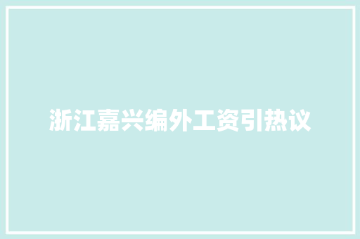 浙江嘉兴编外工资引热议