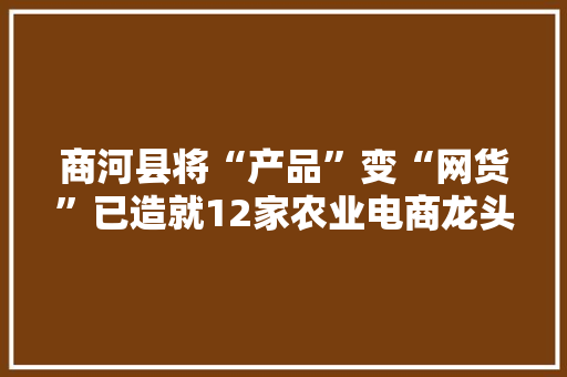 商河县将“产品”变“网货”已造就12家农业电商龙头企业