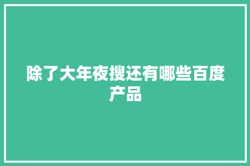 除了大年夜搜还有哪些百度产品