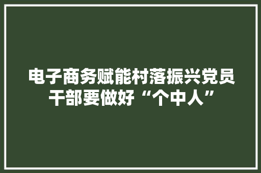 电子商务赋能村落振兴党员干部要做好“个中人”