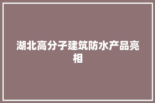 湖北高分子建筑防水产品亮相
