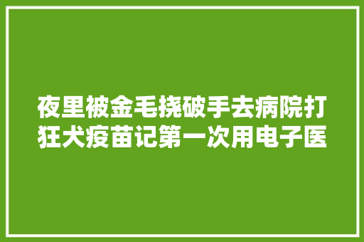 夜里被金毛挠破手去病院打狂犬疫苗记第一次用电子医保卡的我