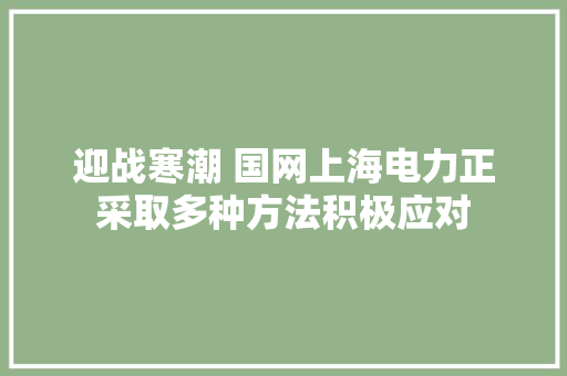 迎战寒潮 国网上海电力正采取多种方法积极应对