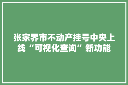 张家界市不动产挂号中央上线“可视化查询”新功能