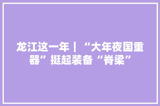 龙江这一年｜“大年夜国重器”挺起装备“脊梁”