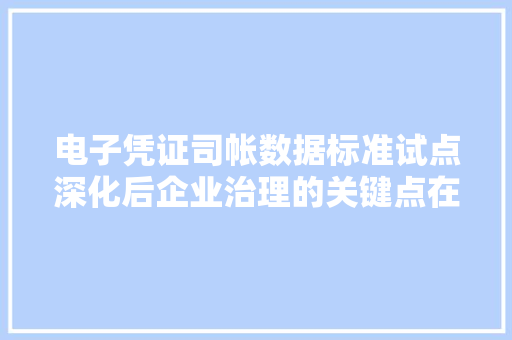 电子凭证司帐数据标准试点深化后企业治理的关键点在于什么？