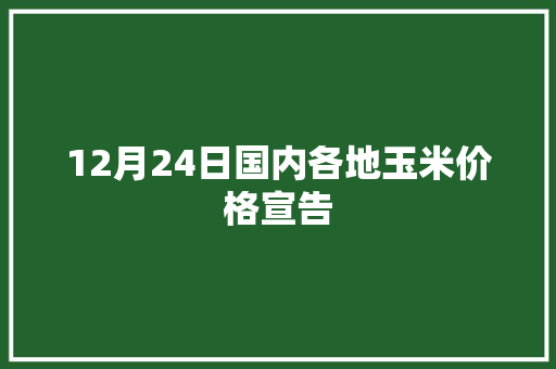 12月24日国内各地玉米价格宣告