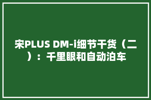 宋PLUS DM-i细节干货（二）：千里眼和自动泊车 宋PLUS DM-i细节干货（二）：千里眼和自动泊车 智能科技