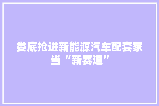 娄底抢进新能源汽车配套家当“新赛道”