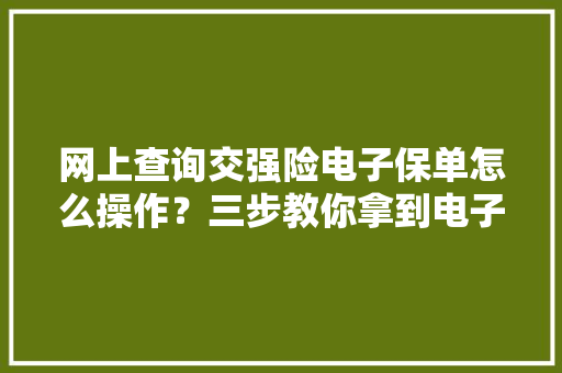 网上查询交强险电子保单怎么操作？三步教你拿到电子版保单！