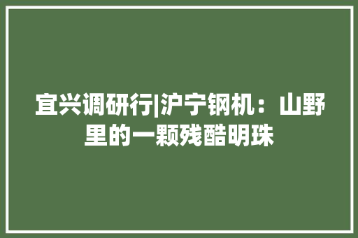 宜兴调研行|沪宁钢机：山野里的一颗残酷明珠 宜兴调研行|沪宁钢机：山野里的一颗残酷明珠 互联通信