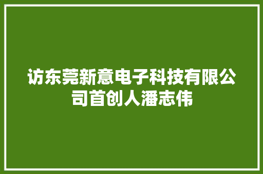 访东莞新意电子科技有限公司首创人潘志伟