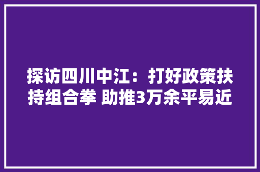 探访四川中江：打好政策扶持组合拳 助推3万余平易近企大年夜成长
