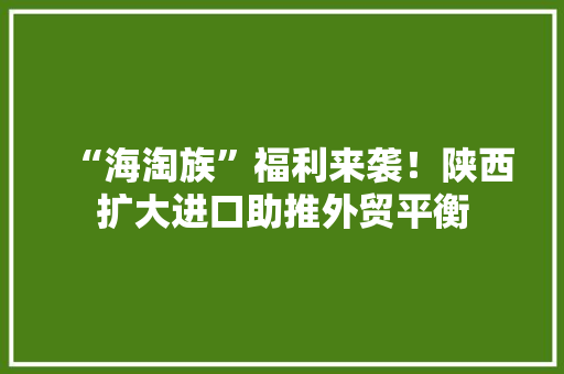 “海淘族”福利来袭！陕西扩大进口助推外贸平衡 “海淘族”福利来袭！陕西扩大进口助推外贸平衡 智能家居