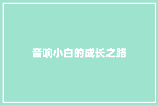音响小白的成长之路 音响小白的成长之路 智能科技