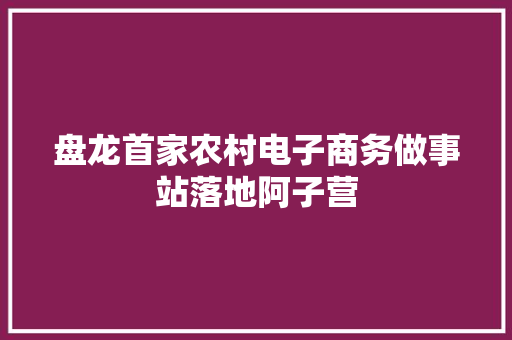 盘龙首家农村电子商务做事站落地阿子营