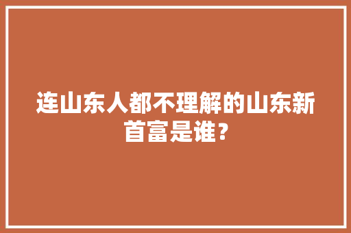 连山东人都不理解的山东新首富是谁？