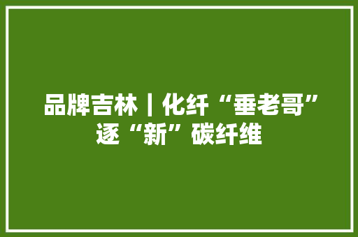 品牌吉林｜化纤“垂老哥”逐“新”碳纤维