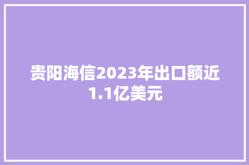 贵阳海信2023年出口额近1.1亿美元