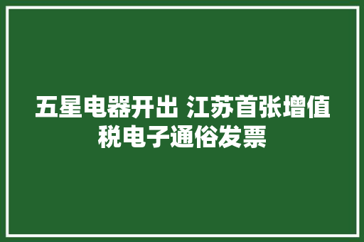 五星电器开出 江苏首张增值税电子通俗发票