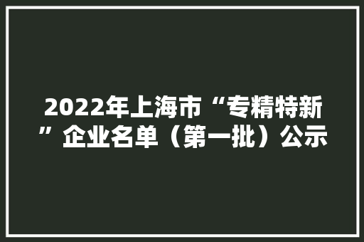 2022年上海市“专精特新”企业名单（第一批）公示 2022年上海市“专精特新”企业名单（第一批）公示 智能科技