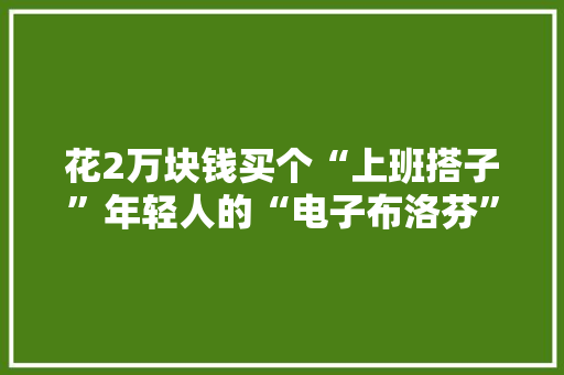 花2万块钱买个“上班搭子”年轻人的“电子布洛芬”玩不起！