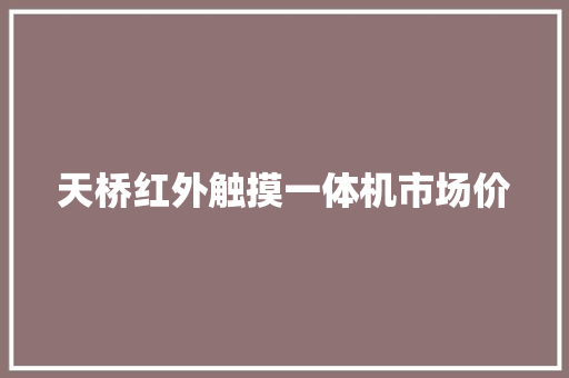 天桥红外触摸一体机市场价