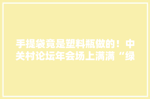 手提袋竟是塑料瓶做的！中关村论坛年会场上满满“绿色”惊喜