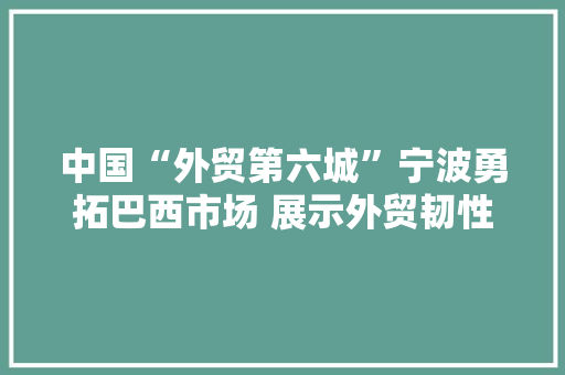 中国“外贸第六城”宁波勇拓巴西市场 展示外贸韧性