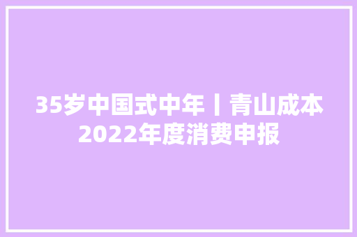 35岁中国式中年丨青山成本2022年度消费申报