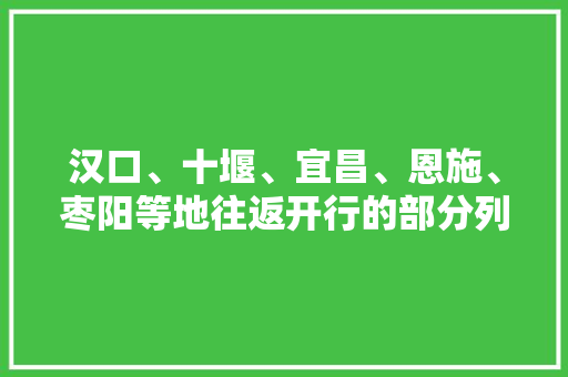 汉口、十堰、宜昌、恩施、枣阳等地往返开行的部分列车停运。退票不收退票费