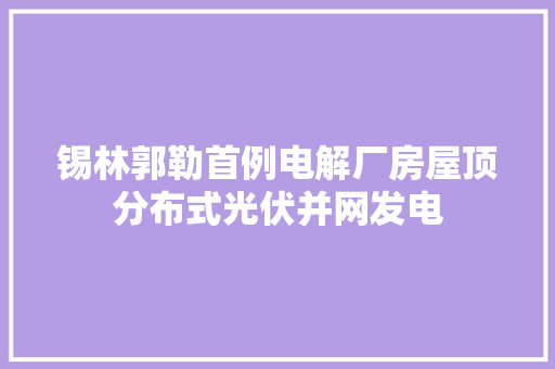 锡林郭勒首例电解厂房屋顶分布式光伏并网发电