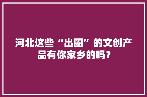 河北这些“出圈”的文创产品有你家乡的吗？