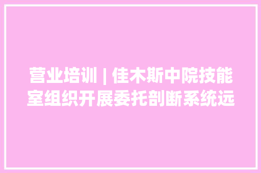 营业培训 | 佳木斯中院技能室组织开展委托剖断系统远程摇号及回放系统营业培训
