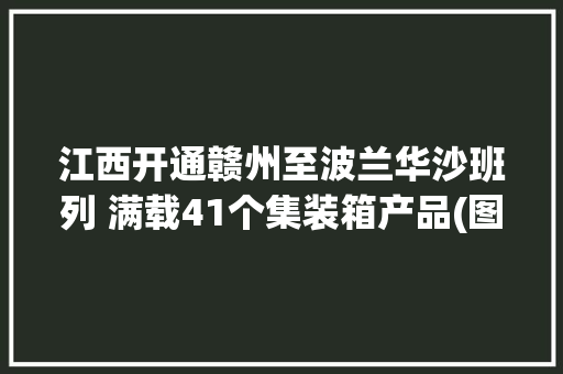 江西开通赣州至波兰华沙班列 满载41个集装箱产品(图)