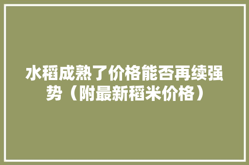 水稻成熟了价格能否再续强势（附最新稻米价格）