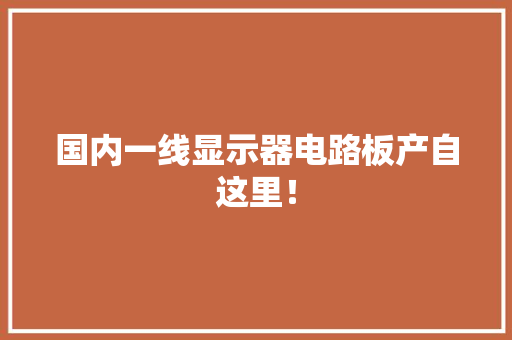 国内一线显示器电路板产自这里！