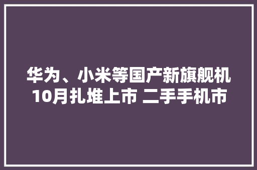 华为、小米等国产新旗舰机10月扎堆上市 二手手机市场降价明显 华为、小米等国产新旗舰机10月扎堆上市 二手手机市场降价明显 人工智能