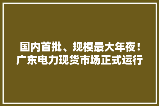 国内首批、规模最大年夜！广东电力现货市场正式运行