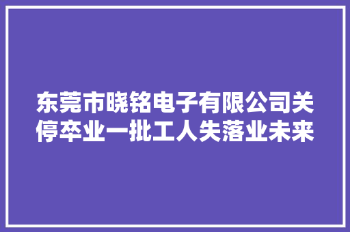 东莞市晓铭电子有限公司关停卒业一批工人失落业未来何去何从？