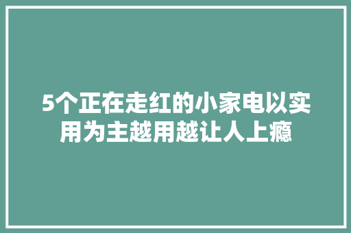 5个正在走红的小家电以实用为主越用越让人上瘾